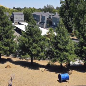 overview of a dog park with trees and a fence